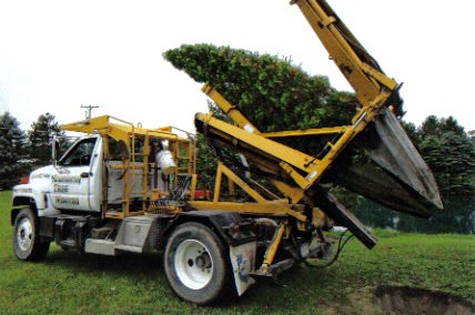 Tree Movers | Tree Transplant | Tree Removal | Tree Sales